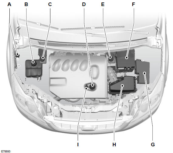 Motorraum - Übersicht - 2.0L Duratorq-TDCi (DW) Diesel