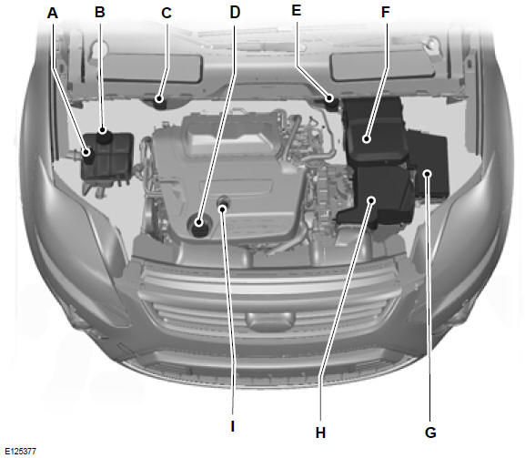 Motorraum - Übersicht - 2.0L Duratorq-TDCi (DW) Diesel