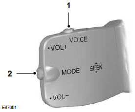 Taste Voice und Modus